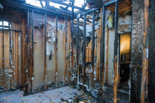Professional Fire Damage Cleanup technician working in Largo, FL